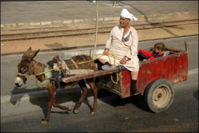 vehiculo (5) � IMAGENES FOTOS